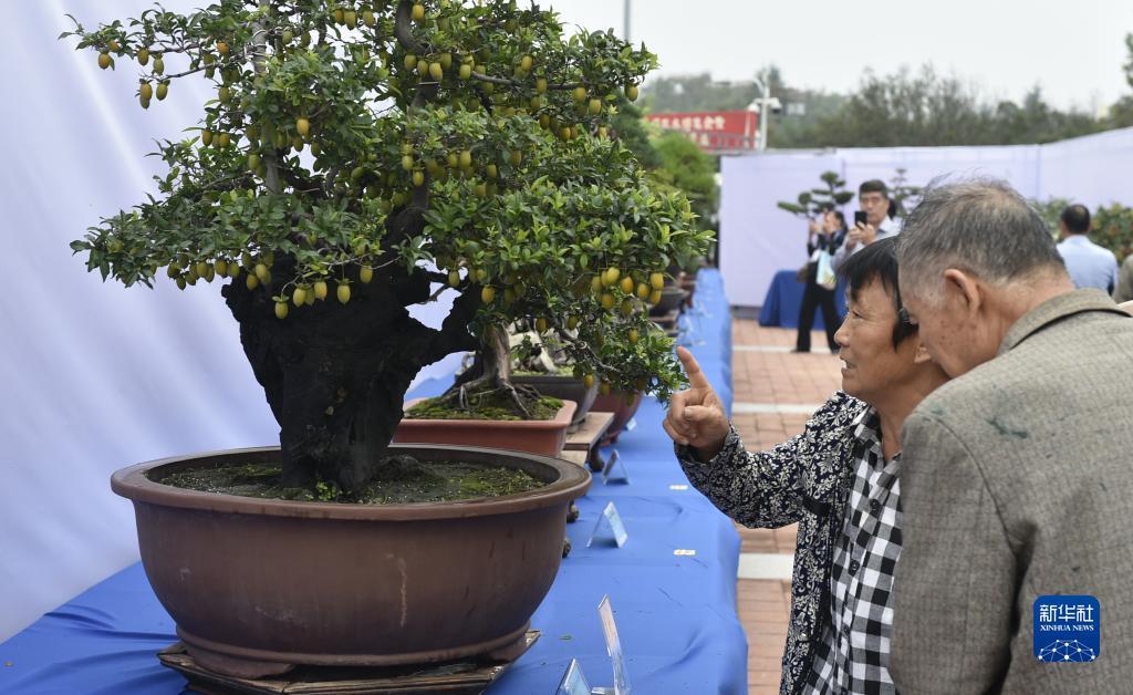 宝博评级公司